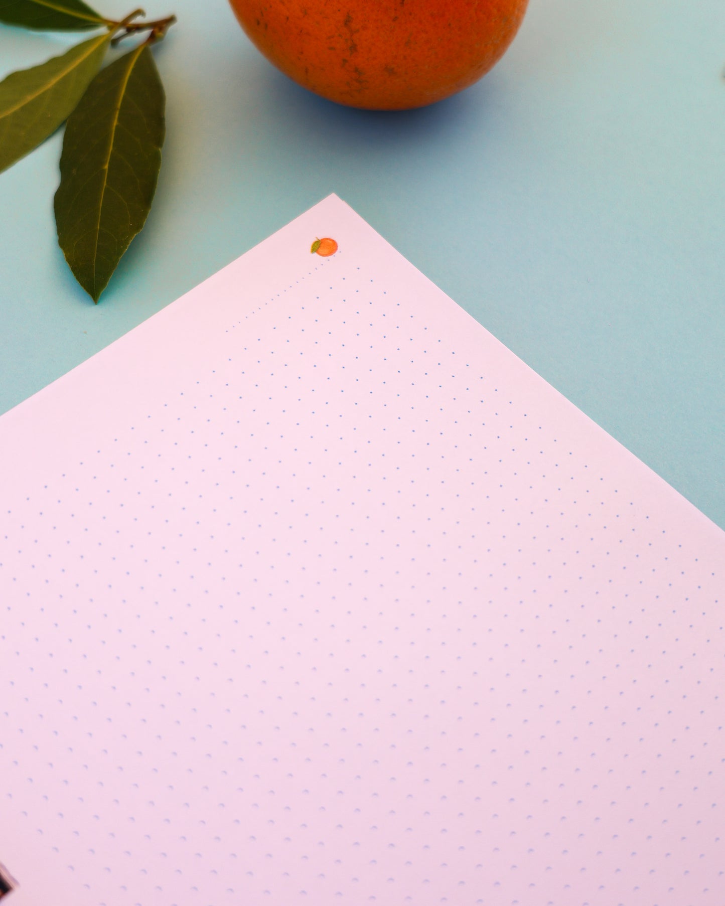 Cuaderno Tangerine · 90 hojas · 180 páginas