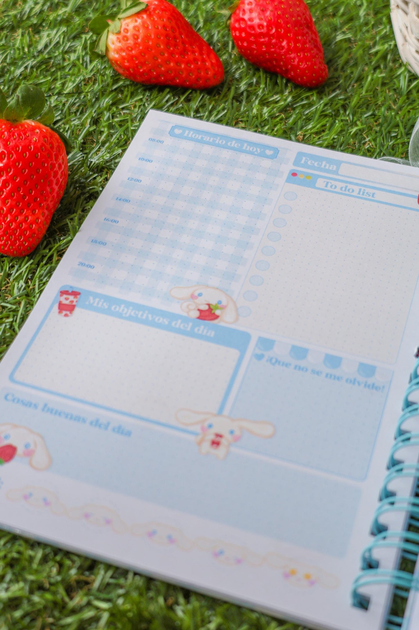Planner Diario Baby Strawberry • 90 hojas (180 días) • A5